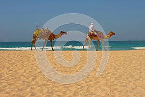 Dubaj pláž 