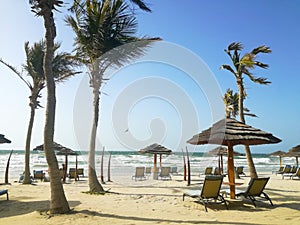 Dubai beach with palms and decor