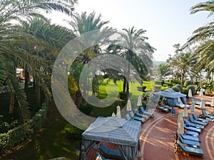 Dubai beach with palms and decor