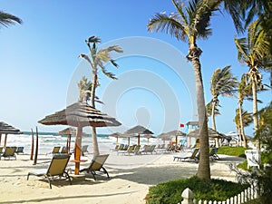 Dubai beach with palms and decor