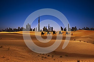 Dubai camel caravan travel with sand dunes and desert sunset