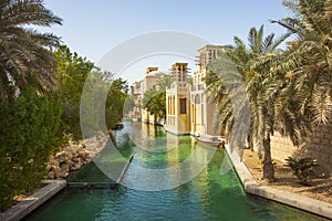 Dubai city view with palm trees