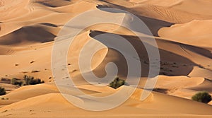 Dubai desert