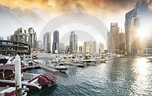 Dubai Marina