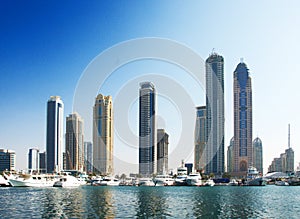 Dubai Marina Skyline