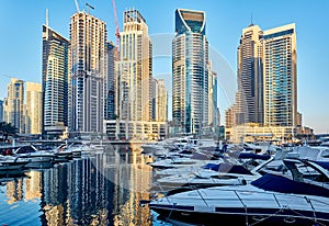 Dubai marina skyline in United Arab Emirates