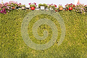 Dubai Miracle Garden - Grass Wall and Flower Pots