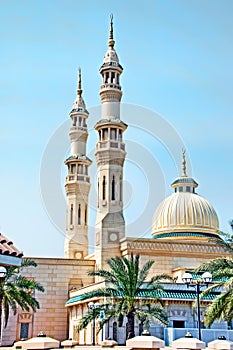 Dubai Mosque 2