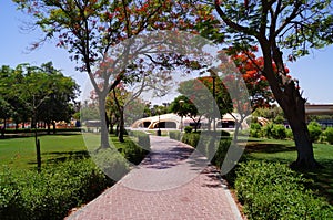 Dubai Safa Park