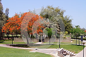 Dubai Safa Park