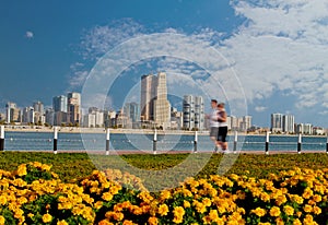 Dubai sea front