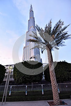 Dubai skyline at night from Business Bay Al Khail road,Dubai,  United Arab Emirates