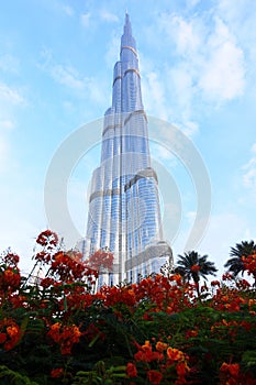 Dubai skyline at night from Business Bay Al Khail road,Dubai,  United Arab Emirates