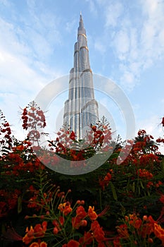 Dubai skyline at night from Business Bay Al Khail road,Dubai,  United Arab Emirates