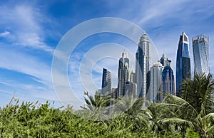 Dubai skyscraper skyline with palm trees