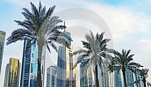 Dubai skyscraper skyline with palm trees