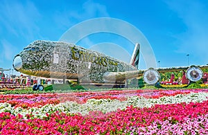 Air plane in Miracle Garden, Dubai, UAE