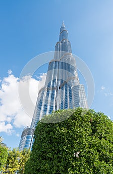 DUBAI, UAE - NOVEMBER 22, 2015: Burj Khalifa, the highest building in the world, 829.8 m tall. It is the new symbol of the city