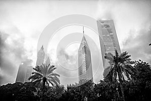 Dubai, United Arab Emirates - December 23, 2017: palm trees and towers on cloudy sky. Skyline with tropical garden in