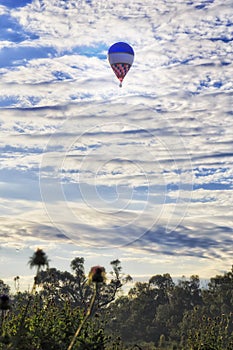 Dubbo balloon vert