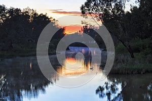 Dubbo river rise pelikan red