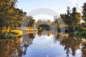 Dubbo south river upstream