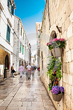 Flowers at the beginning of spring in the beautiful alleys of the old town of Dubrovnik