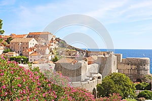 Dubrovnik old town walls with flowers, Croatia, Europe