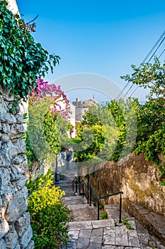 Dubrovnik panorama view from small old street with green trees on the side. Sea in background