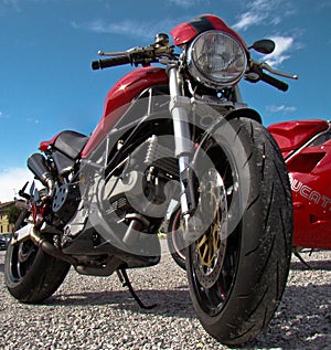 Ducati monster