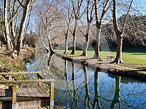 Duchy park in Uzes, Provence, France photo