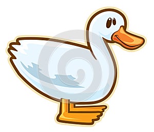 Duck