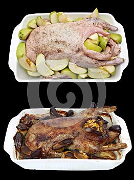 Before and after duck