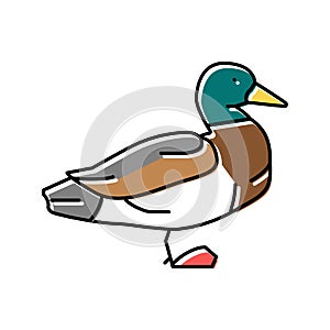 duck bird color icon vector illustration