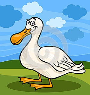 Duck bird farm animal cartoon illustration