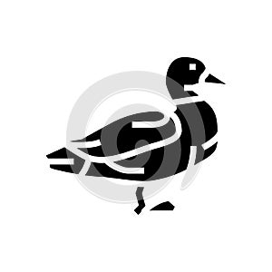 duck bird glyph icon vector illustration