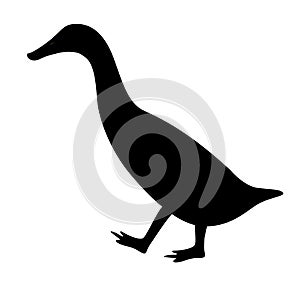 Duck bird , vector illustration, black silhouette, side view