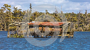 Duck blimd in Cajun Swamp & Lake Martin, near Breaux Bridge and