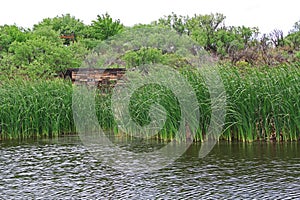 Duck Blind in Las Lagunas de Anza Wetlands