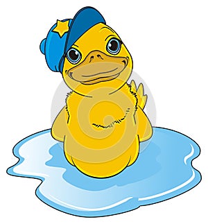 Duck in blue cap