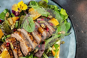 duck breast fried and salad leaves on plate. Food recipe background. Close up