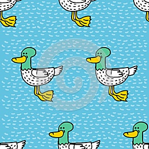 Duck cartoon pattern. Drake drawing ornament. Bird background
