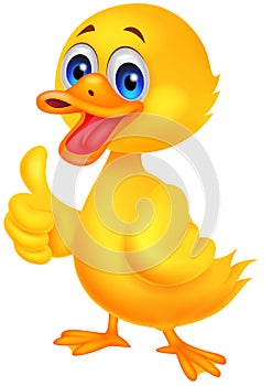 Duck cartoon thumb up