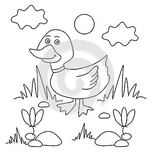 Duck coloring page