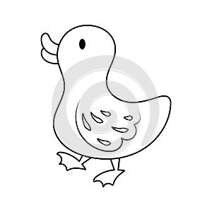 A Duck Colorless