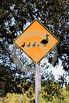 Duck Crossing Warning Road Sign