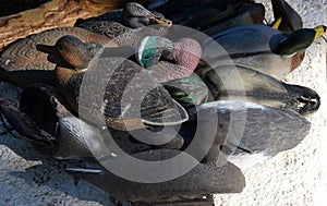 Duck Decoys in Pile photo