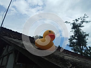 Duck doll  at the rooftop with sky background photo