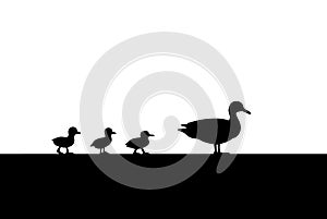Duck and Ducklings for a walk Silhouette vector