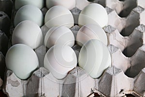 Duck eggs in paper tray In the market